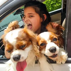 מארז מעוצב "עוגת גן" והפתעות