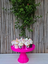 צבע אחד לבחירה