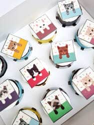 נושא אהוב לבחירה