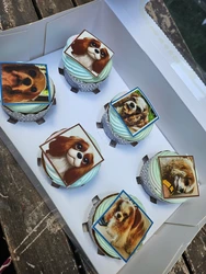 נושא אהוב לבחירה